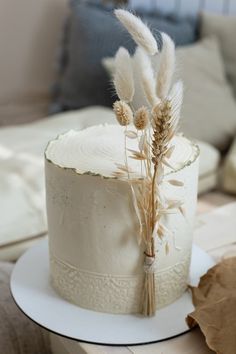 there is a cake that has been decorated with white frosting and some dried plants