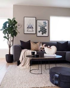 a living room filled with furniture next to a plant and two pictures on the wall