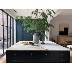 a kitchen island with marble top in front of a blue door and window, next to a potted plant