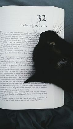 a black cat laying on top of an open book with its head resting on the pages