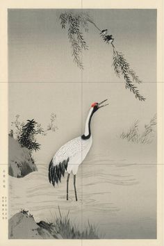 a crane standing in the water with its beak open