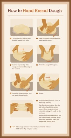 the instructions for how to knead dough