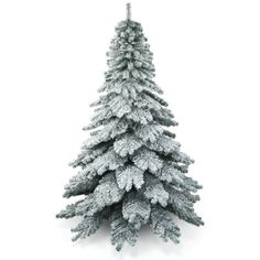 a small christmas tree with snow on the top and bottom branches, against a white background