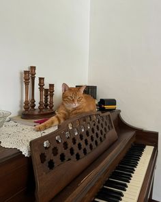 an orange cat laying on top of a piano