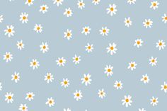 white and yellow daisies on a blue background