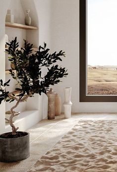 a living room filled with furniture and a potted plant in front of a window