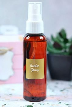 Repel bugs naturally with this easy to make homemade plant spray. It uses essential oils to keep bugs off of your plants to prevent them from eating the leaves.… Bee Repellent, Homemade Bug Repellent, Bug Repellent Spray, Kill Bugs, Plant Bugs, Essential Oil Spray, Plant Pot Covers, Diy Chalk Paint, Black Spray Paint