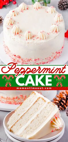 This stunning Peppermint Cake is a show stopping holiday dessert that is perfect for any occasion! Decadent white chocolate cake is layered and topped with peppermint buttercream frosting and crushed candy canes – sure to be the highlight of your holiday table! Peppermint Cake Recipe, Peppermint Buttercream Frosting, Christmas Confections, Peppermint Buttercream, Peppermint Cake, Xmas Recipes, Mom On Timeout, White Chocolate Cake, Special Cakes