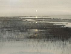 the moon shines brightly in the sky over an icy marshy area with reeds