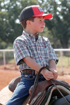 Boys Plaid, Gray Plaid, Plaid Shorts