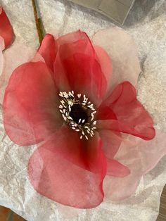 a red flower sitting on top of a piece of paper