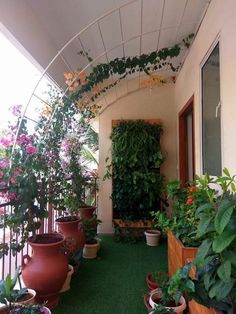 many potted plants on the outside of a house's roof terrace, with an awning above them