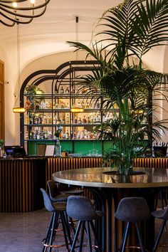 a bar with stools and plants in it