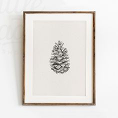 a black and white drawing of a pine cone