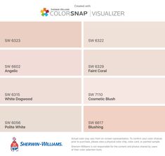 the color scheme for colorsnap visualizer, which is available in several different colors