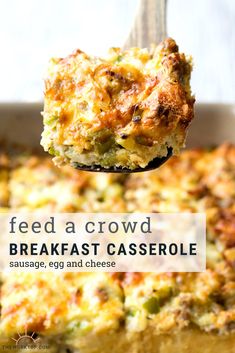 a close up of a spoon with food on it and text overlay reading feed a crowd breakfast casserole sausage, egg and cheese