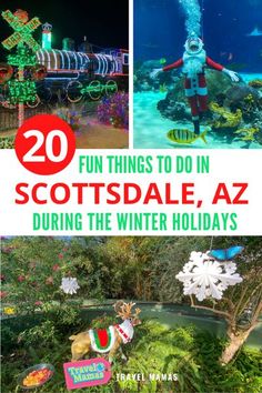 the top 20 things to do in scottsdale, az during the winter holidays