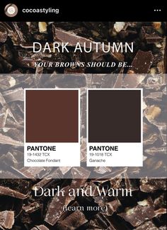 dark and warm chocolate color scheme for the autumn season, with text overlaying it