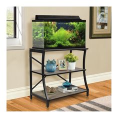 a fish tank sitting on top of a shelf next to a plant filled with plants