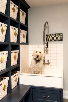 a white dog sitting in a kitchen sink next to some baskets on the counter and shelves