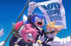 sonic the hedgehog and other characters holding a flag