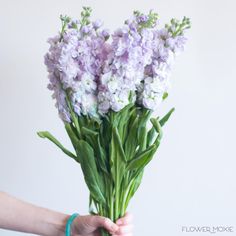 a person holding a bunch of flowers in their hands with the stems still attached to them