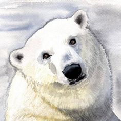 a watercolor painting of a polar bear