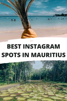 the best instagram spots in mauritus