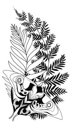 a black and white drawing of some plants