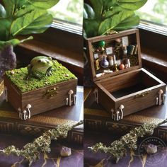 two wooden boxes with plants and other items in them