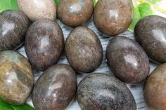 some brown and white eggs sitting on top of green leaves