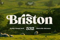 an advertisement for bristoon with sheep grazing in the field and trees behind it