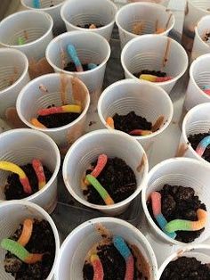 several cups filled with dirt and candy worms