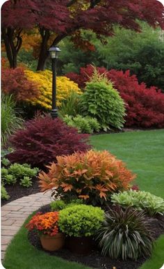 a garden filled with lots of different types of plants and trees in the middle of it