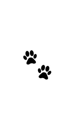 two black and white dogs paw prints on a white background