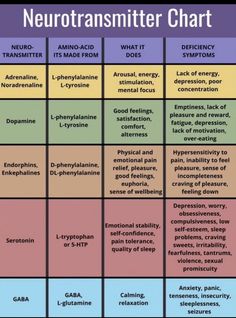 the neurotransmitter chart is shown