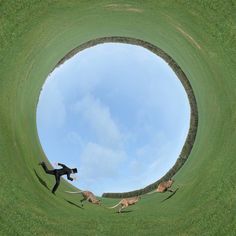 a man in a suit is running through the grass with some animals on his back