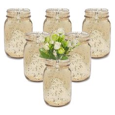 four glass jars with flowers in them on a white background