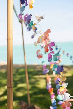 colorful paper butterflies hanging from a bamboo pole in front of the ocean and grass on a sunny day