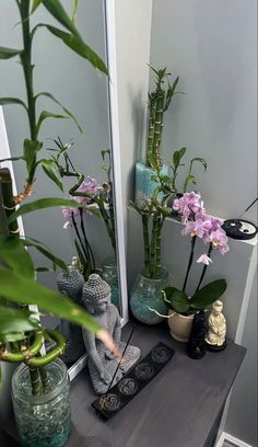 there are many plants in the vases on the table next to the mirror and buddha figurine