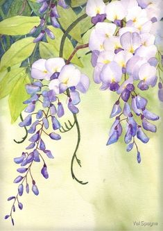 watercolor painting of purple and white flowers