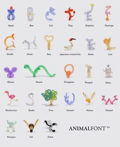 an animal font with different types of animals and letters on it's front cover