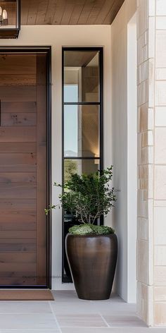 a large potted plant sitting in front of a wooden door with two lights on each side