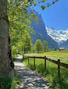 a wooden fence is next to a dirt path in front of a mountain and grassy field