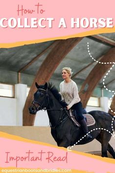 a woman riding on the back of a black horse next to a pink and yellow sign