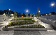 an outdoor courtyard with steps, plants and lights at night in the city center on a clear day