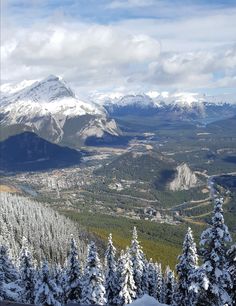 snow covered trees and mountains in the distance