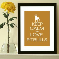 a yellow flower sitting in a vase next to a framed print that says keep calm and love pitbulls