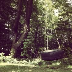 a tire swing suspended from a tree in the woods