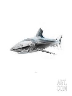 a black and white drawing of a shark